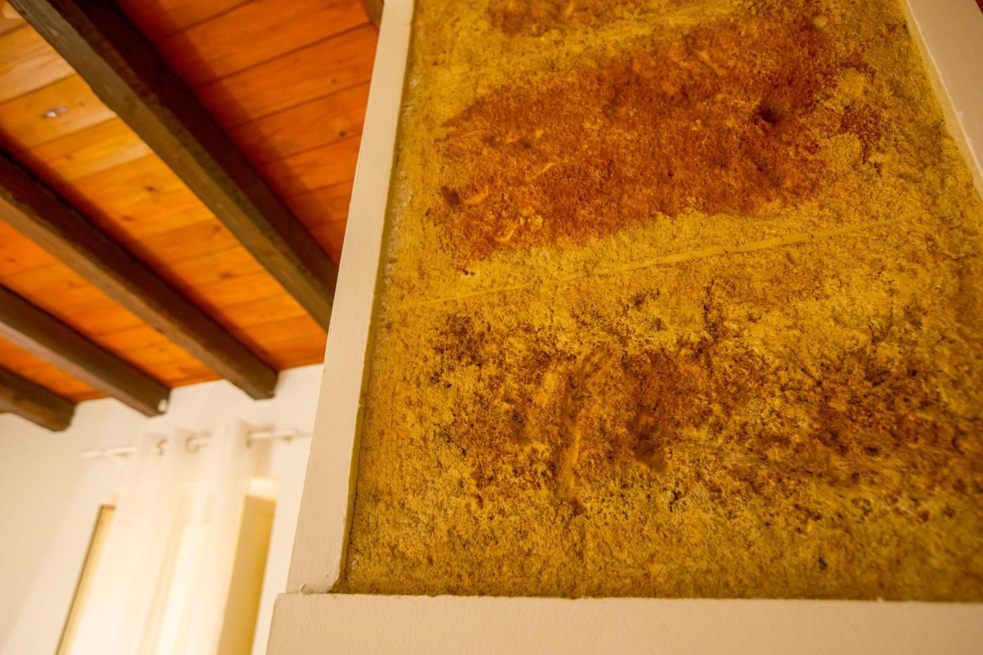 Casa D'Amari Lejlighed Palermo Eksteriør billede