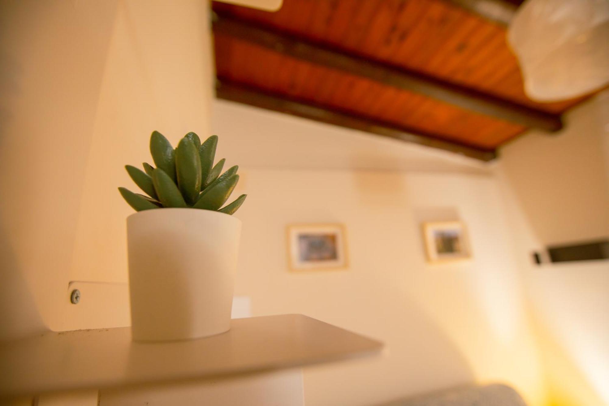 Casa D'Amari Lejlighed Palermo Eksteriør billede